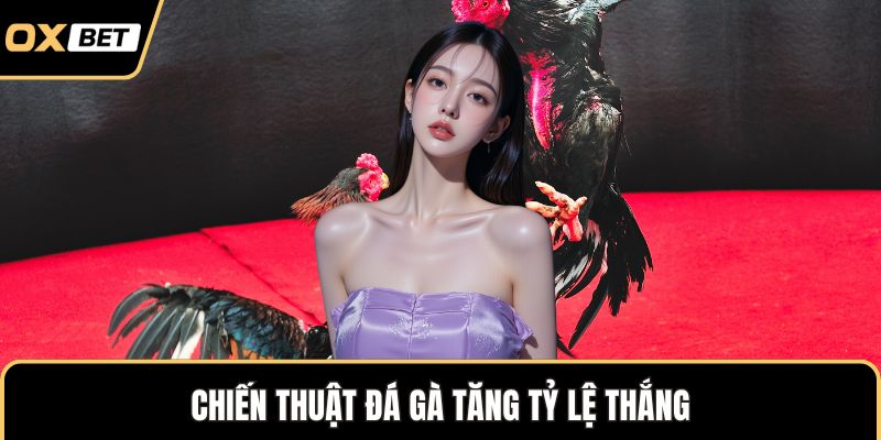 Chiến thuật đá gà tăng tỷ lệ thắng